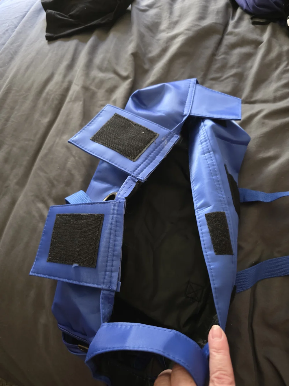 Pet Cat Or Small Dog Carrying Harness Tote - Bright Blue